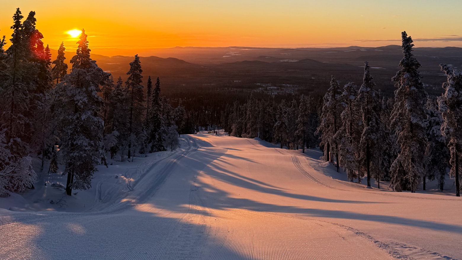 manchestermorgon.jpg.